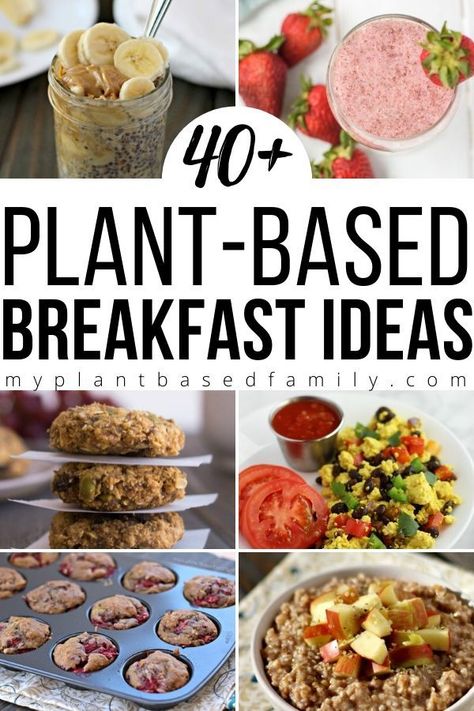 Cold Breakfast, Vegan Plan, Plant Based Diet Meals, Plant Based Diet Meal Plan, Plant Based Recipes Breakfast, Plant Based Recipes Easy, Healthy Plant Based Recipes, Plant Based Diet Recipes, Vegetarian Breakfast Recipes