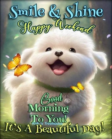 Happy Weekend Messages, Happy Weekend Pictures, Happy Friday Pictures, Good Morning Happy Weekend, Happy Weekend Images, Cat And Dog Memes, Cute Good Morning Gif, Good Night Cat, Weekend Images