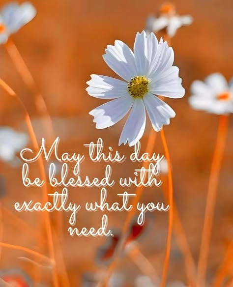 May Your Day Be Filled Quotes, Be Blessed Today, Encouragement Box, Beautiful Day Quotes, Weekly Quotes, Daily Wishes, Pure Soul, Thinking Of You Quotes, God's Blessings