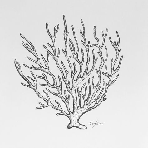 Coral Reef Line Drawing, Brain Coral Tattoo, Fan Coral Tattoo, Coral Line Art, Coral Sketch, Coral Outline, Coral Reef Drawing, Coral Tattoo, Coral Drawing