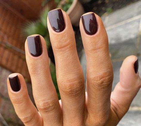 Dark Brown Shellac Nails, Nails Brown Dark, Dark Nails Wedding, Dark Fall Short Nails, Shellac Short Nails Fall, Short Gel Nails Autumn 2023, Gel Mani Short Nails Dark Color, Dark Brown Nails On Brown Skin, Shellac Brown Nails