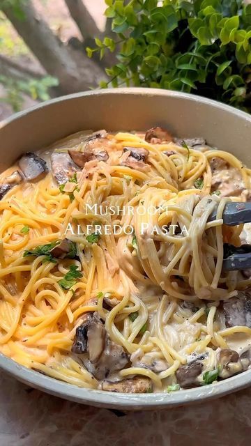 Mushroom Alfredo Pasta, Mushroom Alfredo, Plats Healthy, Pasta Recipes Alfredo, Pasta Water, Alfredo Pasta, Food Recepie, Pasta Dish, Alfredo Sauce