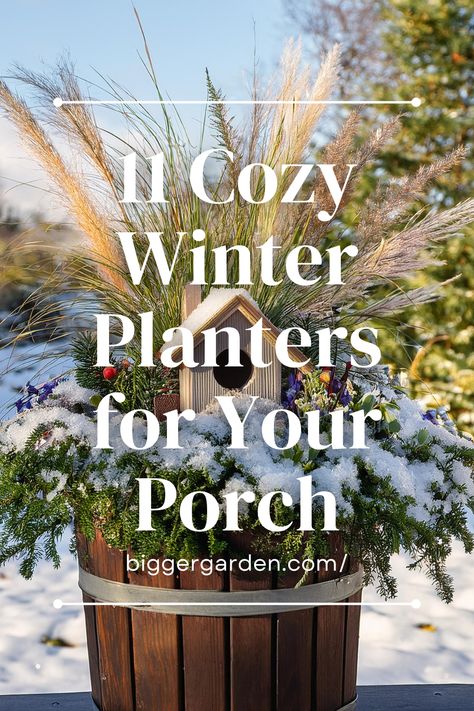 Check out 11 easy winter planter ideas that transform your front porch into a cozy, inviting space. Featuring festive greens, vibrant red berries, and seasonal touches, these planters are perfect for bringing brightness and beauty to your outdoor winter decor. Winter Front Door Pots, Front Porch Plants Full Sun, Year Round Planter Ideas, Outdoor Planters Winter, Winter Urn Planter Ideas, Small Outdoor Planter Ideas, Winter Flower Arrangements Outdoor, Winter Floral Arrangements Outdoor, Winter Mailbox Decor