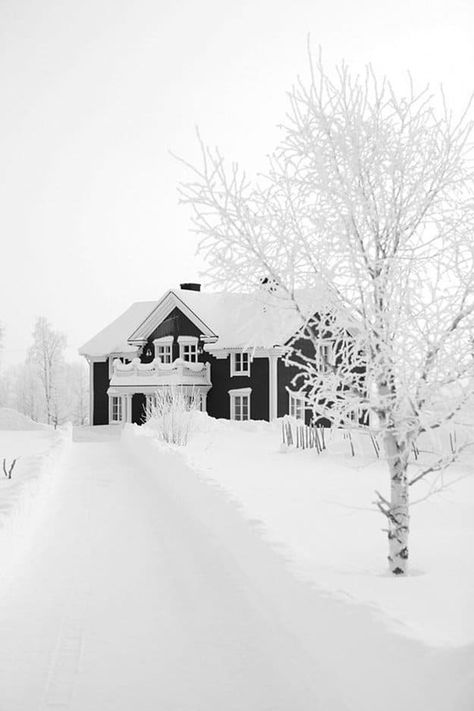 Tips on Survival for your Homestead | Winter Survival Methods To Keep You Warm Winters Tafereel, Winter Survival, Becki Owens, Farmhouse Remodel, Large House, White Exterior, Winter Love, Winter Magic, Winter Scenery