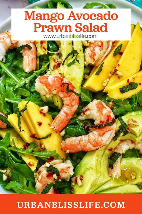 This Mango Avocado Prawn Salad is an easy, healthy, delicious lunch or dinner. Perfect for spring and summer meals. Get the easy salad recipe at UrbanBlissLife.com. Prawn Mango Salad, Healthy Delicious Lunch, Prawn And Avocado Salad, Prawn Salad, Mango Avocado, Seafood Recipe, Summer Meals, Easy Salad, Grilled Seafood