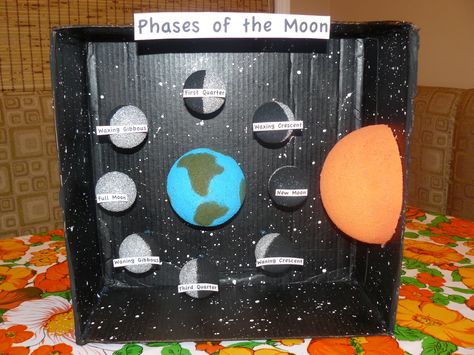 phases of the moon projects | Miss M's science project, phases of the moon. Phases Of The Moon Project, Moon Phase Project, Moon Science, Projects Science, Solar System Projects, Moon Projects, 4th Grade Science, 6th Grade Science, Earth And Space Science