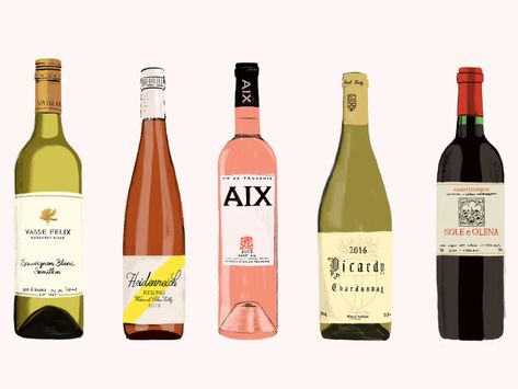 Wine bottles and labels illustration by Luz Diaz on Dribbble Wine Bottles Drawing, White Wine Illustration, Bottle Of Wine Drawing, Wine Bottle Drawing, Bottles Illustration, Wine Bottle Illustration, Wine Watercolor, Vine Bottle, Wine Illustration