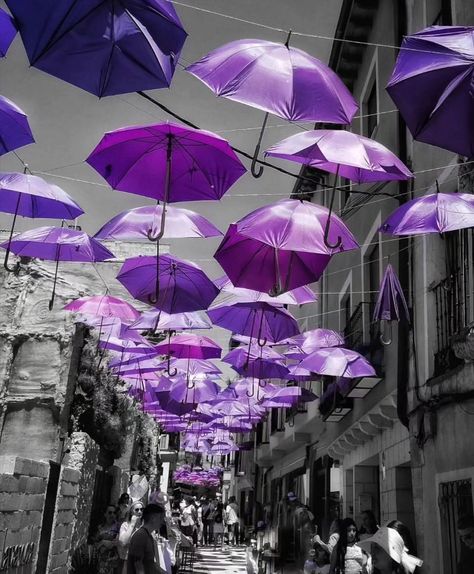 @amazingshots_splash • Instagram photos and videos Color Splash Purple, Photos Winter, Shades Of Violet, Purple Colour, Pretty Purple, February 1, Apartment Decorating, All Things Purple, Aesthetic Images