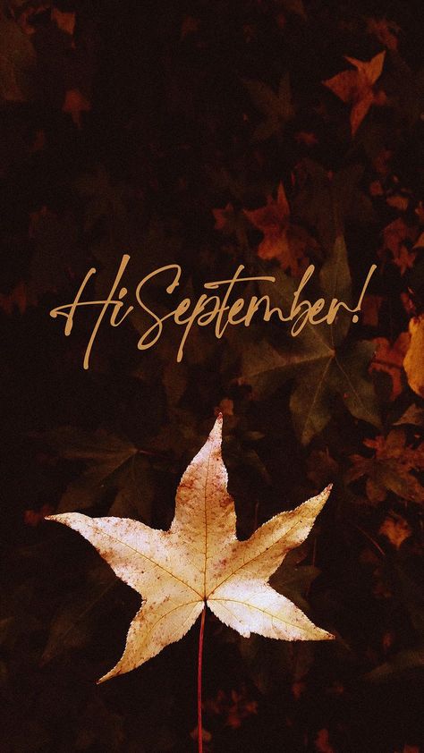 First Day Of September Quotes, Welcome September Images, September Welcome, Hello September Images, First Of September, Aesthetic September, September Images, September Quotes, September Wallpaper