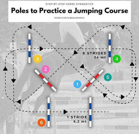 Jumping Courses Horse, Jumping Exercises For Horses, Equestrian Jumping Exercises, Pole Exercises For Horses, Riding Lesson Ideas, Horse Riding Games, Jumping Courses, Equestrian Exercises, Jump Exercises