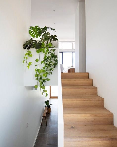 • • G R E E N E R Y • • This pop of colour at the top of the stairwell is a nice feature amongst the beautiful paired-back neutral… Plants Stairs Indoor, Plant On Stair Landing, Stairwell Plant Ideas, Plants In Staircase, Stairwell Plants, Staircase Plants Indoor, Plants On Stairs Indoors, Staircase With Plants, Plants Staircase