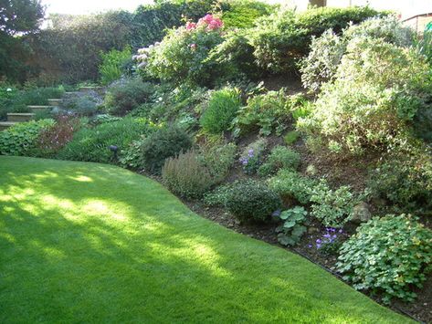 The slope English Hillside Garden, Hill Gardening, Garden Slope, Washington Landscape, Slope Garden, Backyard Hill Landscaping, Hillside Landscape, Sloping Garden, Slope Landscaping