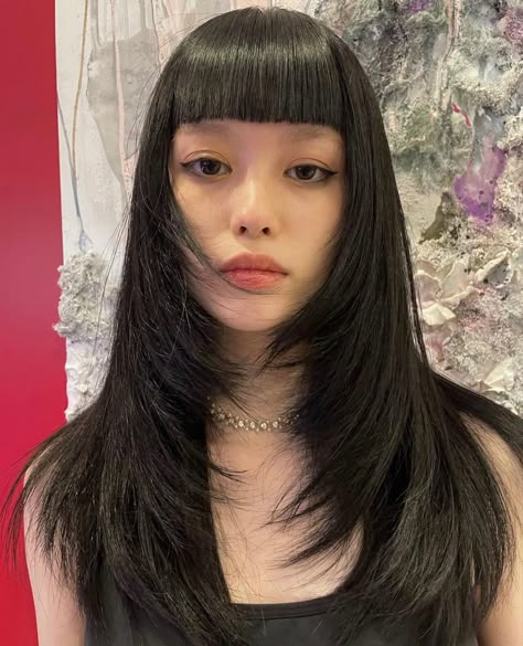 Micro Bangs, Y2k Hairstyles, Haircuts Straight Hair, Long Hair With Bangs, Haircuts For Long Hair, Long Black Hair, Dye My Hair, Hair Inspo Color, Hairstyles Haircuts