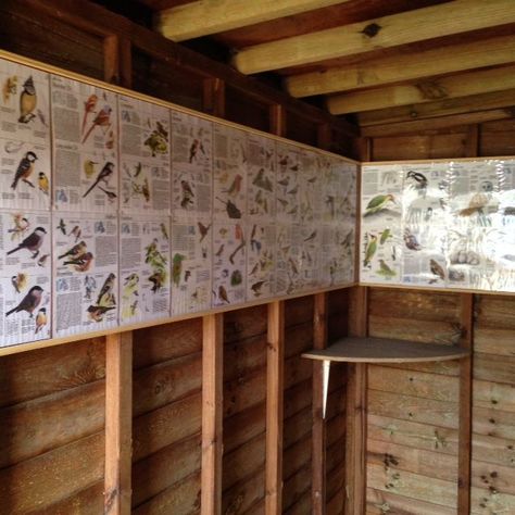 Bird Hide Architecture, Bird Observatory Architecture, Bird Blinds, Trail Signage, Bird Observatory, Bird Hide, Dads Room, Forest School Activities, North Norfolk