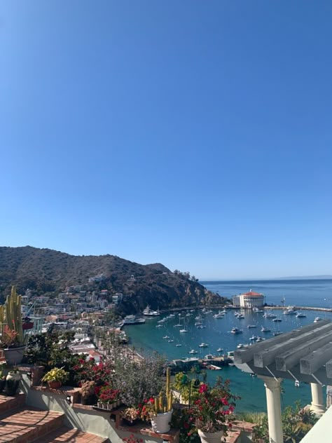 Catalina Aesthetic, Catalina Island Aesthetic, Catalina Core, Catalina Island California, Santa Catalina Island, Vacation Itinerary, Senior Trip, Santa Catalina, Catalina Island