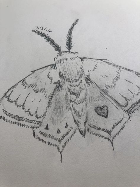 Moth Art Reference, Moth Drawing Sketch, Moth Drawing Cute, Moth Drawing Reference, How To Draw A Moth, Cute Moth Drawing, Moth Sketches, Moth Drawing Simple, Moths Drawing