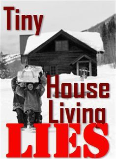 Tiny House Living Lies: Why Don't TV Shows Tell Us the Cons and that it is Mostly Illegal to Live in a Tiny House? Tiny House Living, Mobile House, Build Your Own Shed, Small Tiny House, Tiny House Nation, Micro House, Tiny Spaces, Small Places, Cabins And Cottages