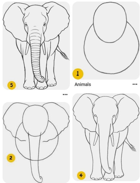 Beginner Animal Drawing, Simple Art Drawings For Beginners, How To Draw Safari Animals, Wildlife Drawings Easy, Animals Step By Step Drawings, Simple Animal Drawings Step By Step, How To Draw An Elephant Step By Step, Animal Sketches Easy Step By Step, Animal Drawings For Beginners