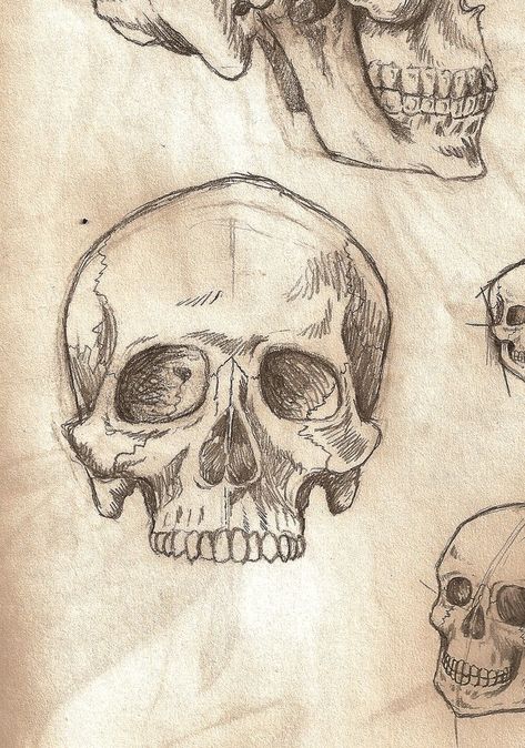 رسم كاريكاتير, Skull Sketch, Skeleton Drawings, Arte Inspo, Arte Sketchbook, Art Drawings Sketches Creative, Anatomy Art, Book Art Drawings, Art Tutorials Drawing