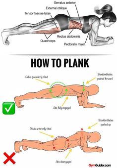 Planking has become increasingly popular for core strengthening and for good reason: it works  in large part because it engages multiple muscle groups simultaneously. What are some of the benefits you can expect from adding this exercise to your regular routine? The plank is one of thebestexercises for core conditioning but it also works your glutes and hamstrings supports proper posture and improves balance. If youve never tried one a plank may look easy. How To Plank Correctly, Plank Benefits, How To Plank, Core Conditioning, Plank Exercise, Fitness Studio Training, Plank Variations, Core Strengthening, Gym Antrenmanları