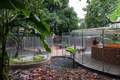 sawadeesign forms circular enclosures for hoc mon pet shelter in vietnam Circular Plan, Animal Shelter Design, Pet Shelter, Dog Spaces, Bamboo Structure, Shelter Design, Live Art, Architecture Design Drawing, Natural Ventilation