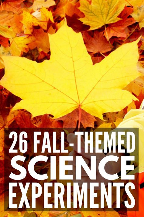 Fall Preschool Experiments, Fall Science Activities Elementary, Autumn Science Experiments Preschool, Fall Science Experiments For Kindergarten, Fall Experiments For Kindergarten, September Science Preschool, October Fall Activities, Fall Harvest Science Preschool, Fall Prek Science Experiments