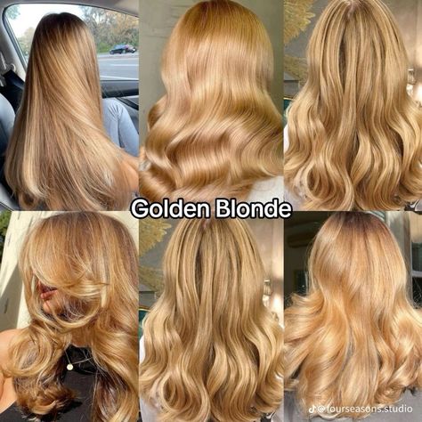 hair colors fall|haire color fall|hair color thinning hair|hair color ideas for blondes Full Honey Blonde Hair, Warm Hair Color Ideas Blonde, Blond Honey Hair, Warm Autumn Blonde Hair, Blonde Hair Color Ideas For Fall, Harvest Blonde Hair, Level 7 Blonde Hair, Warmer Blonde Hair, Warm Autumn Hair Color Blonde