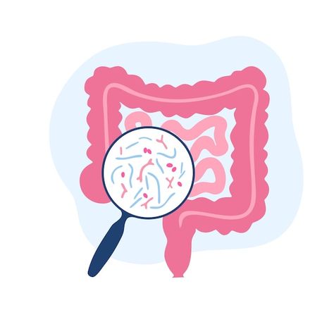 Probióticos. bacterias patógenas y benef... | Premium Vector #Freepik #vector #microbiota #comprimido #medicacion #intestino Gut Illustration, Pole Studio, Gut Microbiota, Studio 54, Beneficial Bacteria, Microbiology, Gut Health, Probiotics, Clear Skin