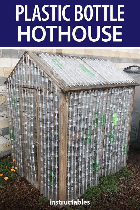 Recycled Garden Projects, Como Plantar Pitaya, Plastic Bottle Greenhouse, Hot House, Recycled Garden, Bottle Garden, Diy Greenhouse, School Garden, Greenhouse Gardening