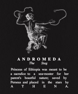 Andromeda Goddess, Greek Mythology Perseus, Andromeda Greek Mythology, Zephyrus Greek Mythology, Fates Greek Mythology, Andromeda Mythology, Greek Mythology Mount Olympus, Greek Mythology Goddesses, Pegasus (mythology)