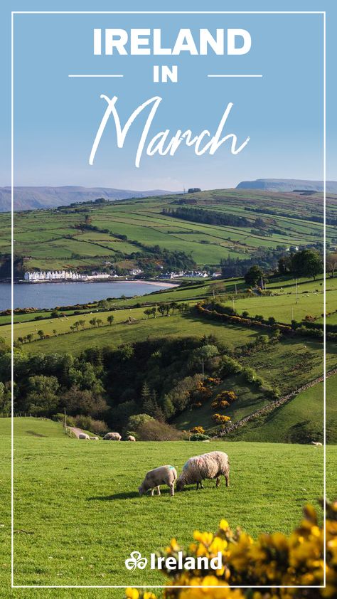 Ireland in March may just be the best time to visit Ireland if you're keen to see the island in its full green glory! Spring is in bloom and St Patrick's Day celebrations usher in a sea of colour (mostly green!), creativity, music and endless craic (fun). Intrigued? Click the pin and discover more things to see and do in Ireland in March. 5 Days In Ireland, Ireland In March, Ireland People, Backpacking Ireland, Ireland Culture, Ireland Weather, Ireland Hotels, Ireland Beach, Images Of Ireland