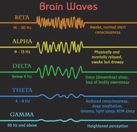 Across the human cortex there are electrical patterns, or brainwave frequencies. Brain Facts, Brain Science, Binaural Beats, Healing Frequencies, Deep Meditation, Medical Knowledge, Brain Waves, Science Facts, Energy Work