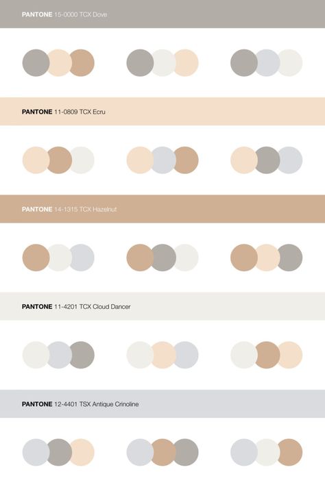 Pantone Autumn Neutral Light Ecru Color Harmonies • Download Free Adobe Illustrator Palette in .ase • #pantone #pantone2020 #colortrends2020 #colourinspiration #swatches #colorpalettes #pantonecolors #colorpallete #colortrend #colourtrends #coloraesthetic #colorcombination #colourcombination #colourinspiration #colorcombos #forecast #autumncolors #fallcolor #autumncolours #brown Pale Color Palette, Pantone Autumn, Beige Brown Color, Color Harmonies, Analogous Color Scheme, Beige Color Palette, Pantone Colour Palettes, Color Pallete, Touch Of Gray