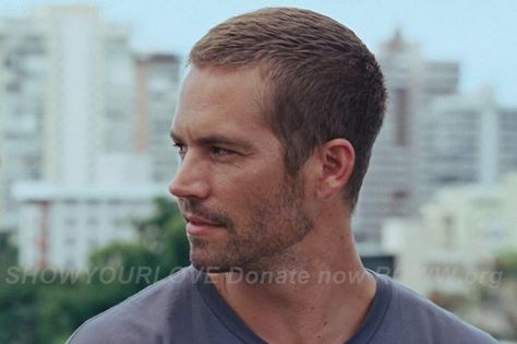 Paul Walker Haircut, Paul Walker Hair, Caleb Walker, Fast & Furious 5, Brian Oconner, Paul Williams, Actor Paul Walker, Fast Five, Paul Walker Pictures