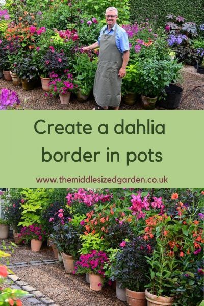 Garden With Dahlias, Garden Plants In Pots, Garden With Plant Pots, Large Container Garden Ideas, Simple Container Garden, English Container Garden, Landscaping With Dahlias, Dahlia Garden Ideas Design, Garden With Pots Landscaping