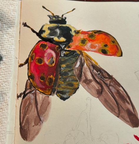 trying out my gouache paints! . . . . . . #art #artist #arts #artists #artistsoninstagram #paint #paints #painting #paintings #gouache #gouachepainting #gouacheart #gouachepaint #gouacheillustration #bug #ladybug #ladybirds #ladybugs #insect #bugs #ladybird #insects Ladybird Painting, Ladybird Aesthetic, Gouache Art Inspiration, Bugs Painting, Bug Paintings, Gcse Resources, Watercolor Bugs, Bug Painting, Paintings Gouache