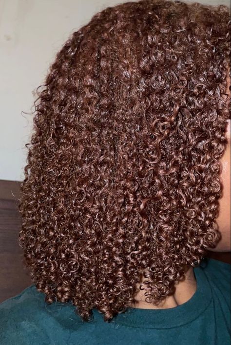 Honey Brown Dyed Hair, Hair Color Ideas On Black Women, Brown Afro Hair Color 4c, 4b Dyed Hair, Curly Honey Brown Hair, Chocolate Brown Hair Curly, Dark Brown Hair Black Women, Honey Brown 4c Hair, Chocolate Brown Natural Hair