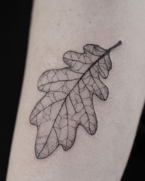 Fine Line Oak Leaf Tattoo, Skeleton Leaf Tattoo, Oak Leaf Tattoo Design, Tattoo Oak Leaf, Oak Leaves Tattoo, Etched Tattoo, Oak Leaf Tattoo, Oak Tattoo, Tattoo Leaf