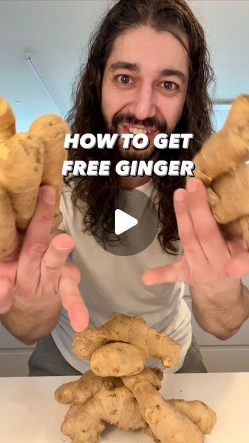 Things To Make With Ginger Root, How To Keep Ginger Root Fresh, Ginger Plant How To Grow A, Growing Ginger From Root, Planting Hacks How To Grow, How To Store Ginger Root, Growing Ginger From Scraps, How To Grow Ginger Root At Home, Regrow Ginger Root