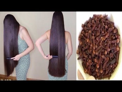 Cloves For Hair Growth, Henna For Hair Growth, Long Hair Oil, Indian Hair Growth Secrets, Hair Thickening Oil, Make Hair Longer, Hair Thickening Remedies, Thicken Hair Naturally, Grow Thick Long Hair