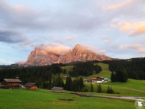 Due in Viaggio - Visitare l'Alpe di Siusi: istruzioni per l’uso Trekking, Road Trip, Natural Landmarks, Road, Travel, Quick Saves