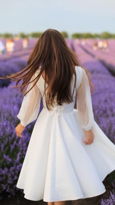 Perfect Wedding Dress | Perfect Wedding [Video] | Simple wedding dress short, Short wedding dress, Civil wedding dresses Satin A Line Wedding Dress, Simple Wedding Dress Short, Wedding Dress With Long Sleeves, Short Lace Wedding Dress, Elegant White Dress, Civil Wedding Dresses, Neck Wedding Dress, Beach Garden, Banquet Dresses