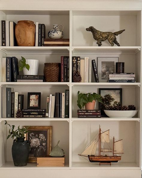 LuckyGreenery Artificial … curated on LTK Bookshelf Styling Library, Cottage Bookshelf Styling, Bookshelf Style Ideas, Fireplace Ideas Non Working Living Rooms, Built In Shelves Living Room Styling, Decorating Bookshelf Ideas, Built In Shelves Styling, Apartment Bookshelf Ideas, Vintage Shelf Styling