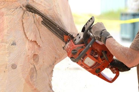 Chainsaw Carving Patterns, Carving For Beginners, Free Scroll Saw Patterns, Chain Saw Art, Best Chainsaw, Chainsaw Wood Carving, Chainsaw Carvings, Whittling Projects, Wood Carving For Beginners