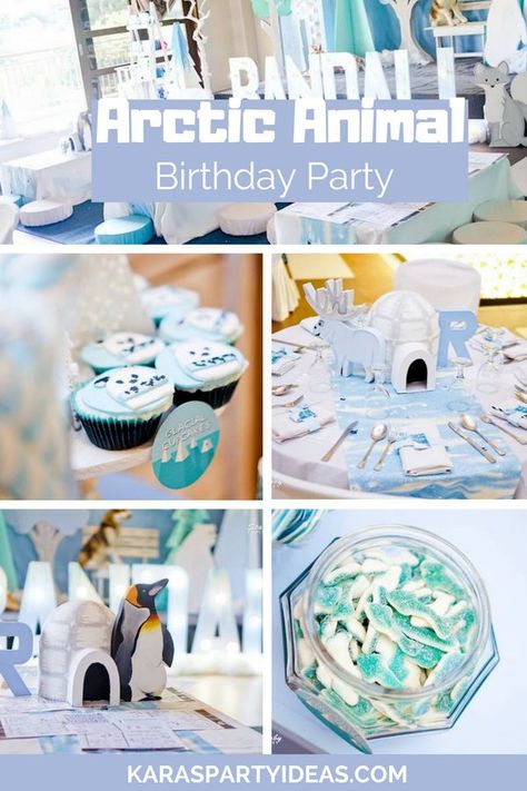 Arctic Themed Birthday Party, Arctic Birthday Party Decorations, Polar Bear Themed Birthday Party, Alaska Birthday Party, Arctic Animals Party, Antarctica Party Theme, Artic Animal Party, Arctic Party Decorations, Polar Birthday Party