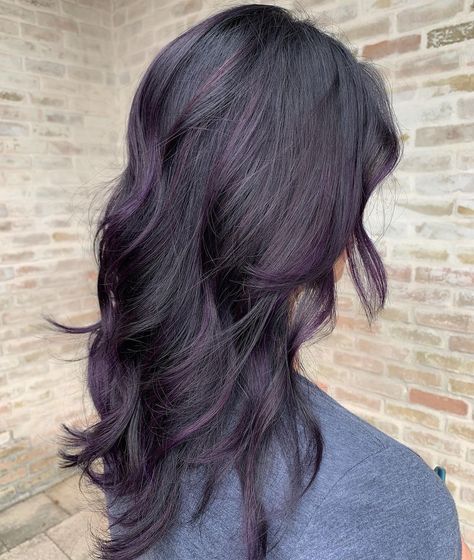 Purple Color On Black Hair, Purple Low Lights For Black Hair, Dark Purple Into Light Purple Hair, Violet Tinted Hair, Plum Purple Hair With Blonde Highlights, Brown Hair With Purple Lowlights, Purple Hair On Dark Brown Hair, Dark Hair With Dark Purple Highlights, Purple Dark Hair Color