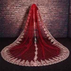 Dupatta Ideas, Long Veils Bridal, Red Veil, Bridal Veils And Headpieces, Wedding Veil Vintage, Black Wedding Gowns, Long Veil Wedding, Red Bridal Dress, Bridal Dupatta