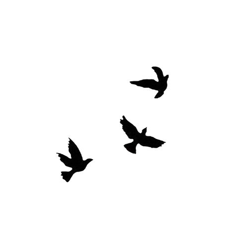 All Black Bird Tattoo, Shadow Bird Tattoo, Blacked Out Bird Tattoos, Birds Tattoo Design Men, Small Crows Flying Tattoo, 3 Black Birds Tattoo, 3 Birds Flying Tattoo, Black Bird Tattoo Men, 3 Birds Tattoo Men