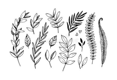 Hand drawn vector illustrations. Botanical branches of eucalyptus and fern. Flor , #sponsored, #branches, #Botanical, #fern, #eucalyptus, #drawn #ad Botanical Tattoo Design, Fern Tattoo, Tattoo Filler, Branch Tattoo, Elements Tattoo, Handpoke Tattoo, Vine Tattoos, Floral Tattoo Sleeve, Plant Tattoo