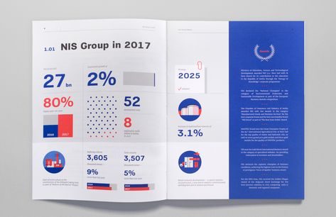 Nonprofit Annual Report, Annual Report Layout, Report Design Template, Report Layout, Annual Report Covers, Report Cover, Annual Report Design, Desain Editorial, Data Design